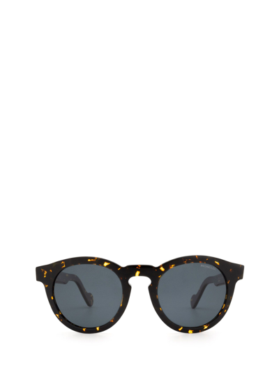 Moncler Ml0175 Dark Havana Unisex Sunglasses In Multicolor