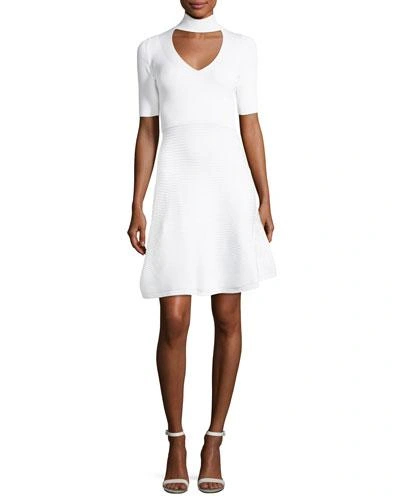 Cushnie Et Ochs Cutout Mock-neck Mini Flare Dress In White