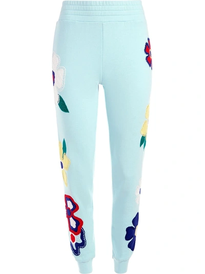 Alice And Olivia Nyc Floral-embroidered Slim Jogger Pants In Powder Bluemulti