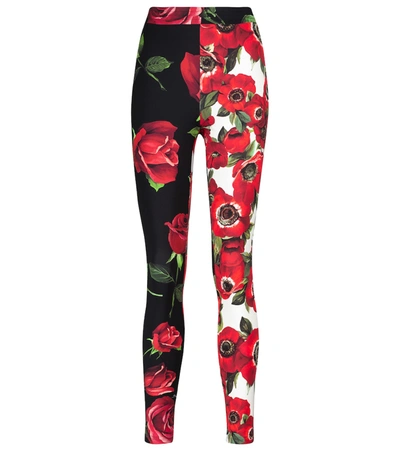 Dolce & Gabbana Leggings With Rose And Anemone Print In Multi