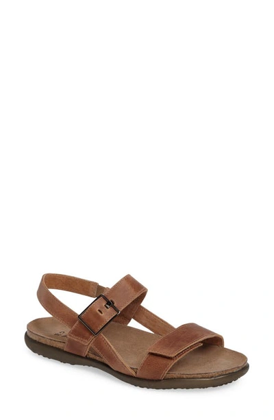Naot Norah Sandal In Brown Leather