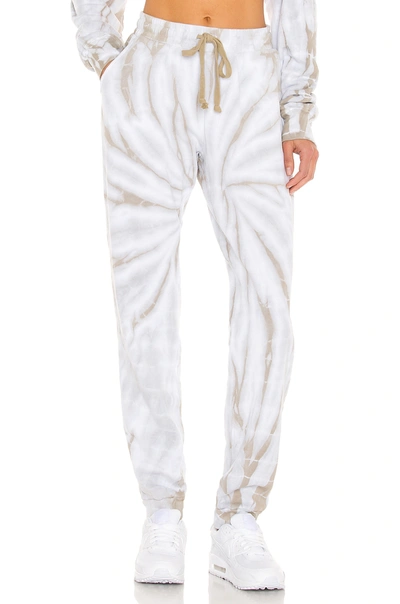 Strut This Frenchie Jogger In Ferry Dust