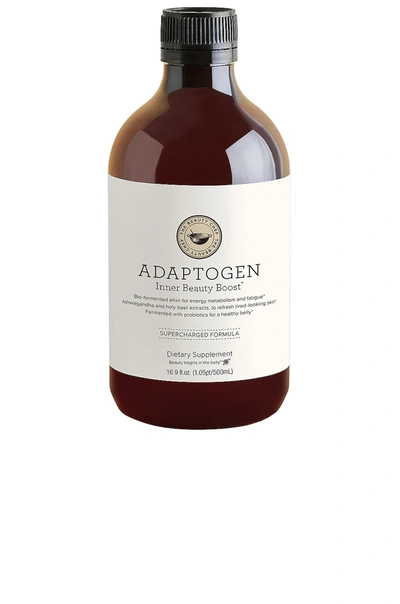 The Beauty Chef Adaptogen Inner Beauty Boost Supercharged 16.9 Oz. In N,a