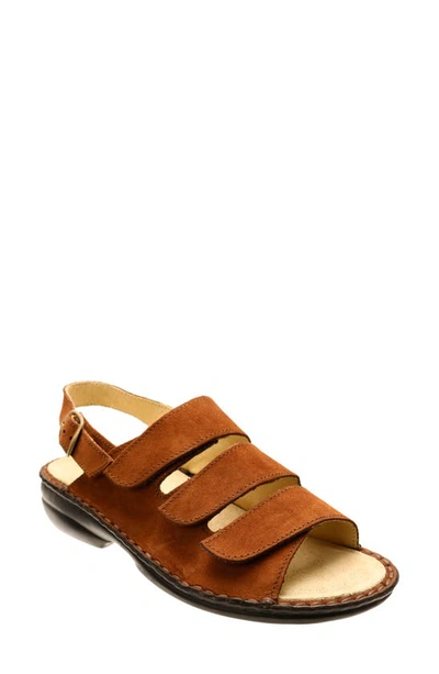 David Tate Brava Slingback Sandal In Brown