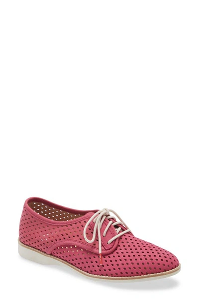 Rollie Punch Perforated Derby In Fuchsia Nubuck