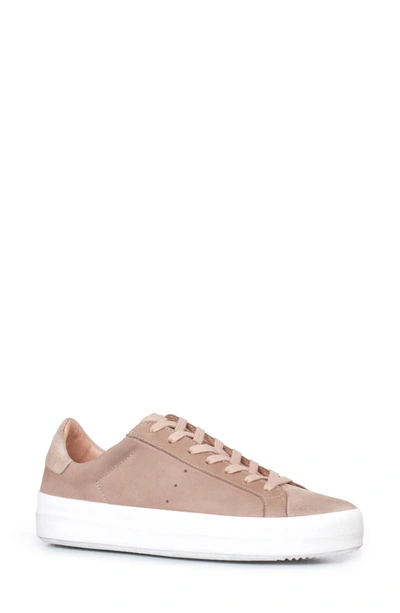 Allsaints Safia Leather Lace Up Sneakers In Sepia Pink
