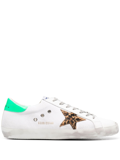 Golden Goose Super-star Classic Sneakers In Leather And Canvas In White,green,beige