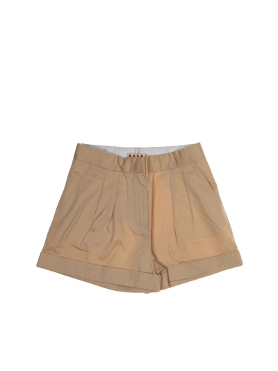 Marni Kids' Tucks Shorts In Beige
