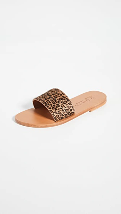 K.jacques Arezzo Slides In Horsey Bableopard