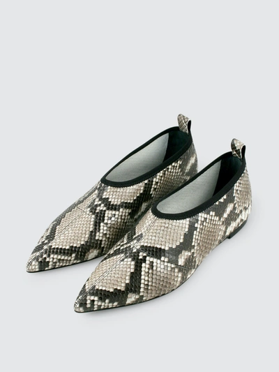 Alumnae Soft Point Toe Flat Natural Python In Grey
