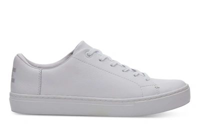 Toms Lenox Sneaker In White