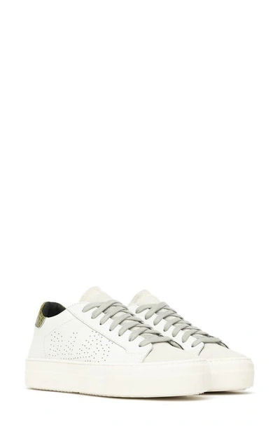 P448 Thea Sneaker In White/ Irgre