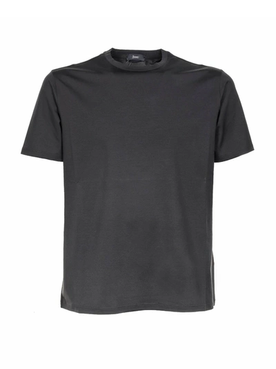 Herno Basic T-shirt In Grey