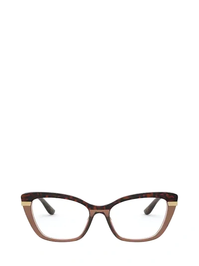 Dolce & Gabbana Dolce &amp; Gabbana Dg3325 Havana On Transparent Brown Glasses In Transparent Grey