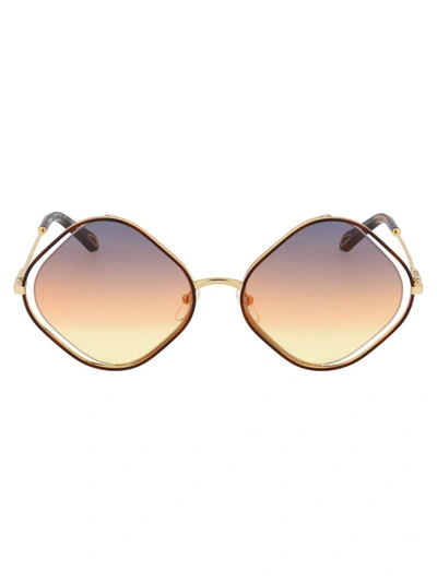 Chloé Ce159s Sunglasses In 259 Havana Gradient Yellow