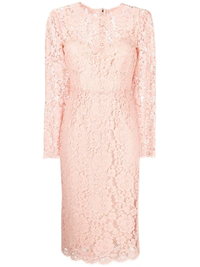 Dolce & Gabbana Cotton & Viscose Lace Effect Midi Dress In Pink