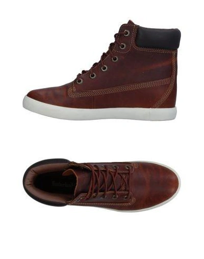 Timberland Sneakers In Cocoa