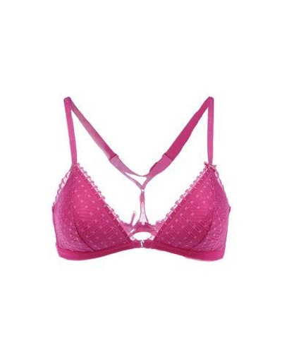 Emporio Armani Bra In Fuchsia