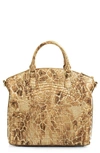 Brahmin Large Duxbury Croc Embossed Leather Satchel In Camel Safari Melbourne