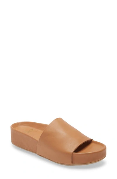 Beek Pelican Platform Slide Sandal In Brown