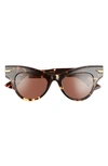 Bottega Veneta 47mm Cat Eye Sunglasses In Havana/ Brown