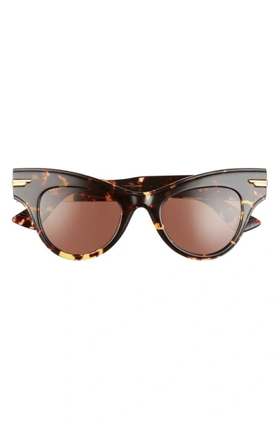 Bottega Veneta 47mm Cat Eye Sunglasses In Havana/ Brown