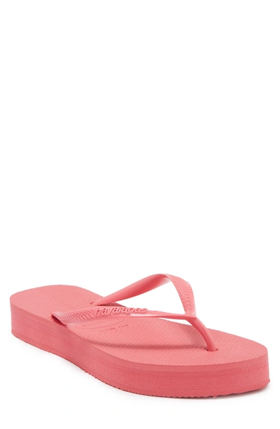 Havaianas Slim Flatform Flip Flop In Porcelain Pink