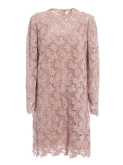 Valentino Lace Dress In Pink & Purple