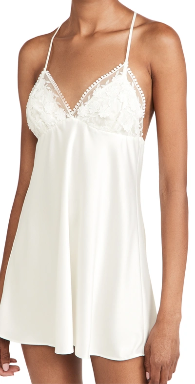 Flora Nikrooz Floral Nikrooz Kylie Embroidered Charmeuse Chemise In Ivory