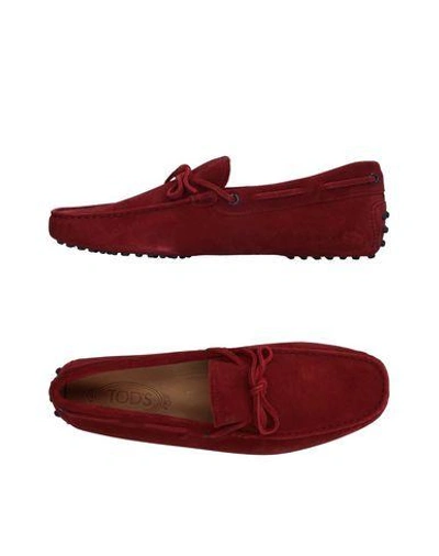 Tod's In Maroon