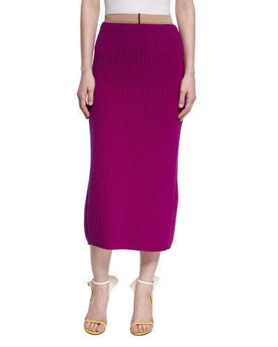 Calvin Klein Collection Ribbed Wool-silk Pencil Skirt In Light Purple