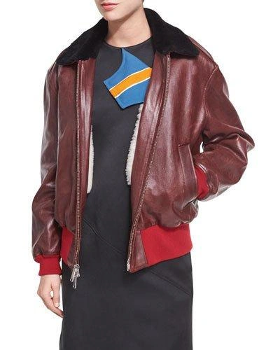 Calvin Klein Collection Leather Bomber Jacket With Shearling Lining In Wine