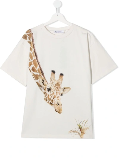 Molo White T-shirt For Kids With Giraffe In Neutrals