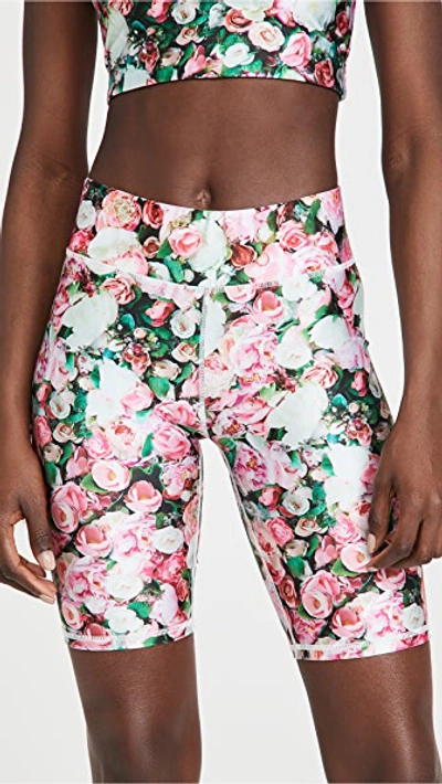 Terez Floral Bike Shorts In Roses With Green
