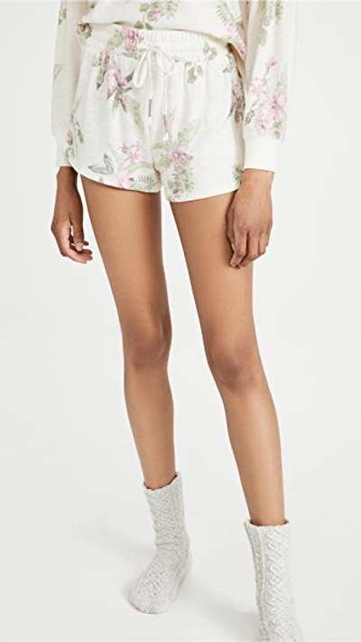 Z Supply Mia Floral Knit Shorts In Bone