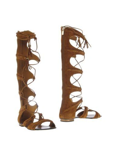 Le Silla Boots In Brown