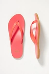Beek Seabird Slide Sandals In Pink