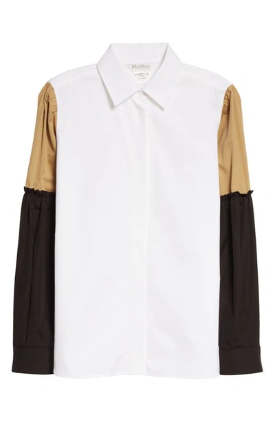Max Mara Badia Contrast-panel Cotton-poplin Shirt In Optical White