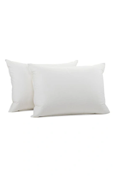 Coyuchi Organic Down Pillow Insert Standard In White