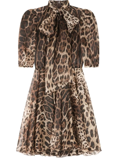 Dolce & Gabbana Leopard-print Pussybow Dress In Brown