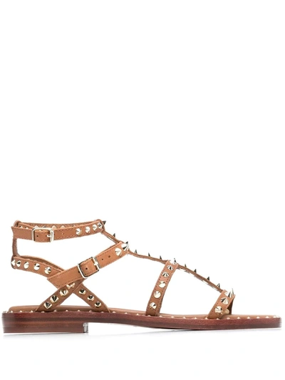 Ash Maeva Spike-stud Cage Sandals In Brown