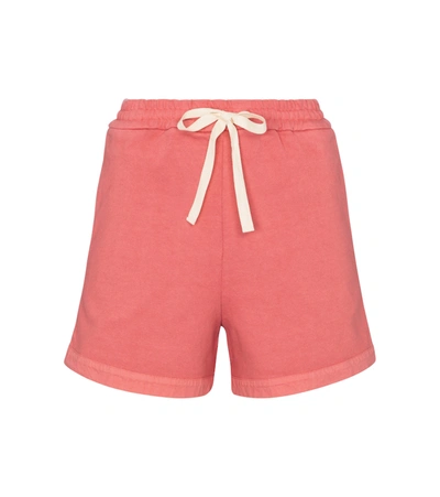 Jil Sander Elasticated-waist Short Shorts In Pink