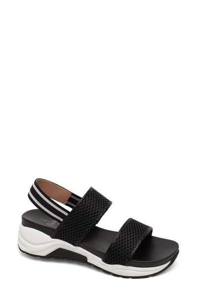 Linea Paolo Ririe Sandal In Black Mesh