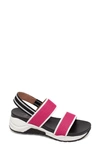Linea Paolo Ririe Sandal In Fuchsia Mesh
