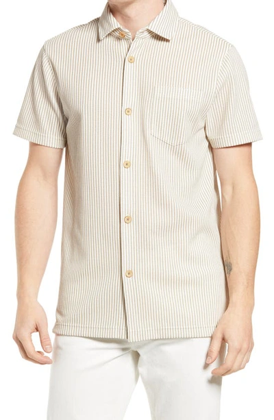 Ted Baker Ramenn Stripe Short Sleeve Button-up Shirt In Grey
