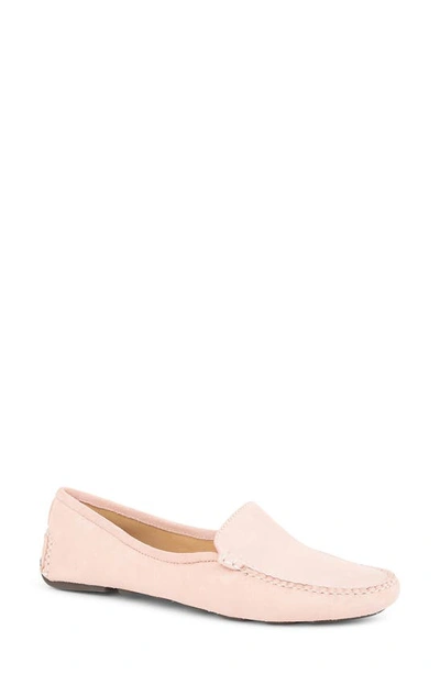 Patricia Green Jillian Driving Moccasin In Blush Suede