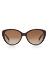 Kate Spade Visalia 55mm Gradient Cat Eye Sunglasses In Dark Havana/ Brown Gradient