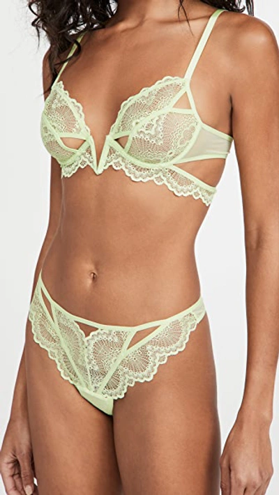 Thistle & Spire Kane Cutout Lace Underwire Bra In Appletini