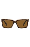 Ray Ban Inverness 54mm Polarized Pillow Sunglasses In Havana On Brown / Brown