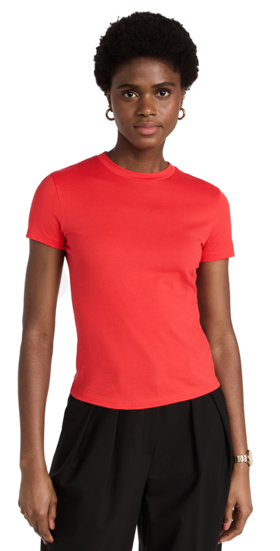 Theory Tiny Tee Round-neck Cotton-jersey T-shirt In Grenadine